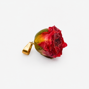 Rosa semi aperta rosso scuro c/foglia